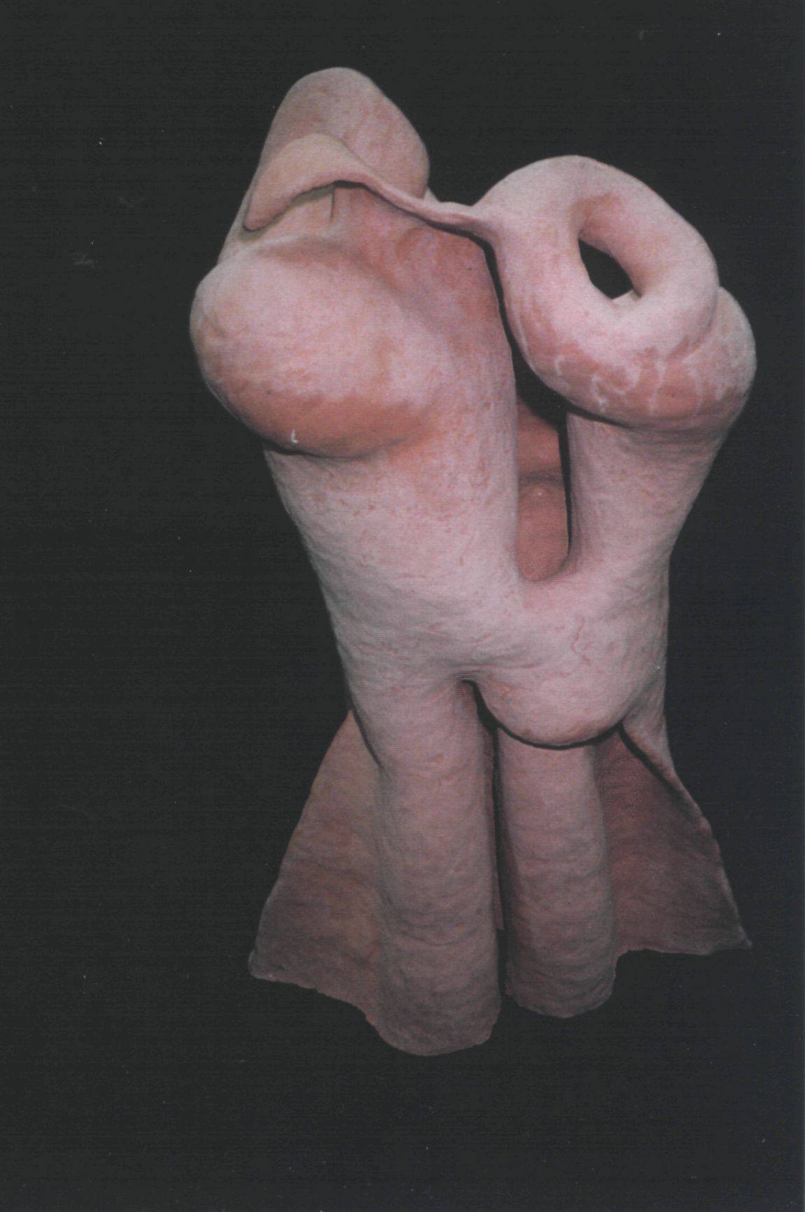 Image 51